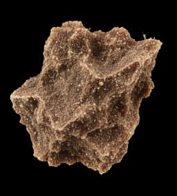Household dust